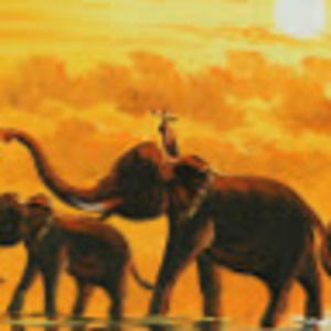 Meet your Posher, Deja